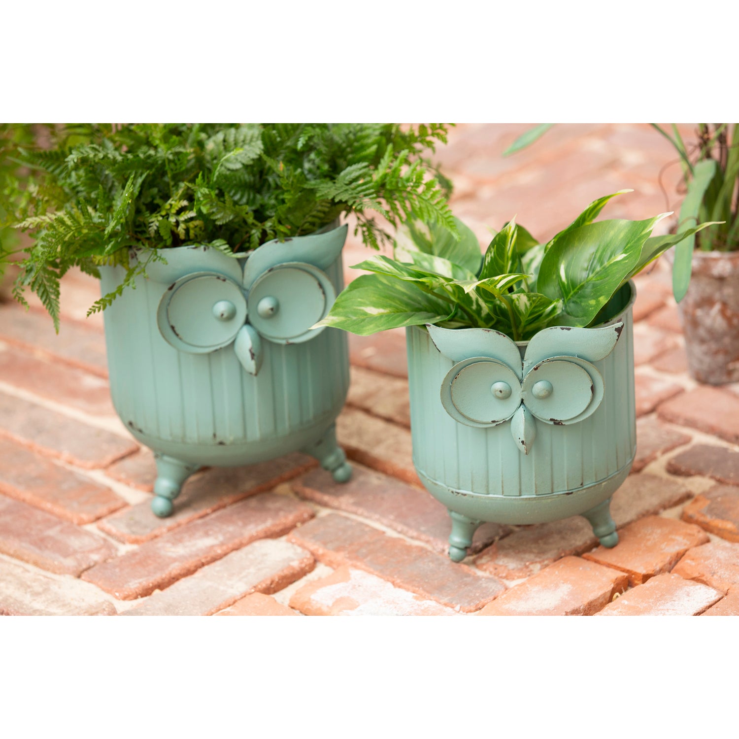 owl pot plant Metal Owl Planter – Presents of Mind