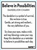 Believe in Possibilities - Dandelion Charm