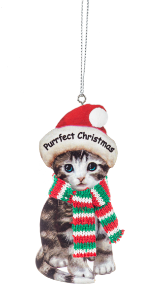 Wooden Cat Ornament with Saying on Hat