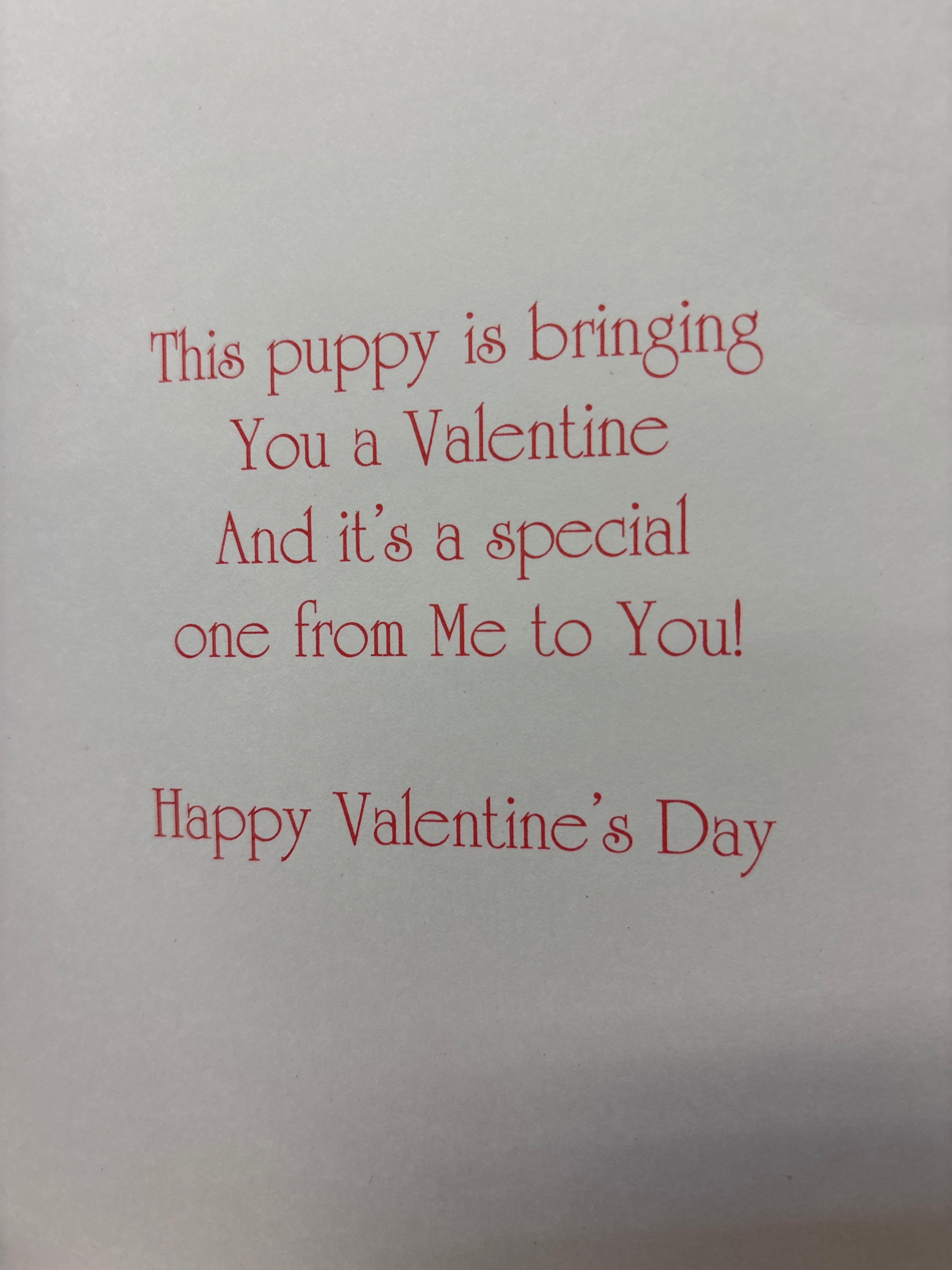 Valentine's card for Great-Granddaughter