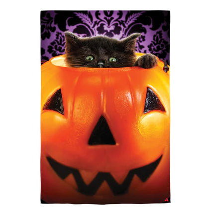 Kitten in pumpkin bucket house flag