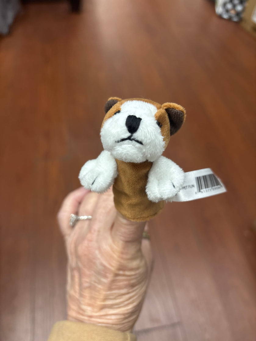 Finger Puppet Fun
