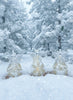 LED Glass and Gold Angel Ornament