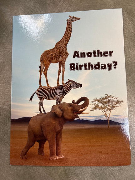Birthday Card