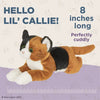 Stuffed Calico Cat