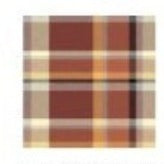 Cozy Plaid Hooded Wrap