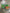 St. Patrick's Day talk blocks