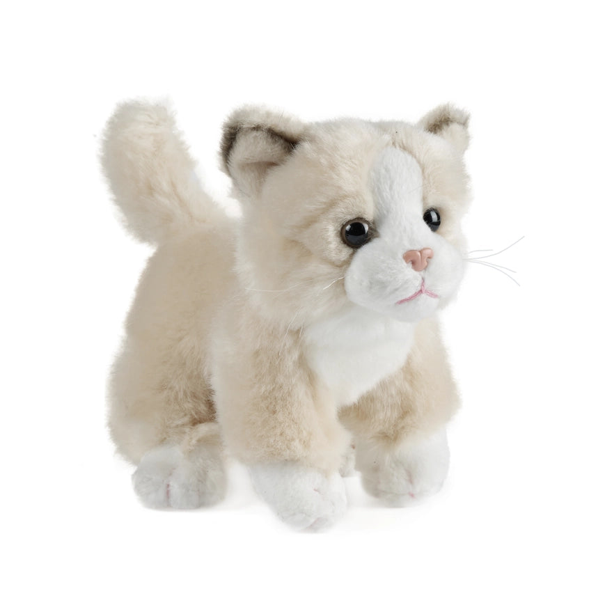 Small Cat Plush