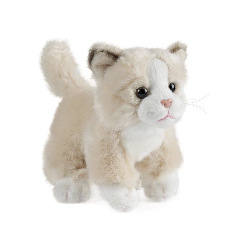 Small Cat Plush
