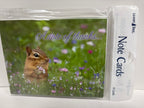 8 Note Cards and Envelopes