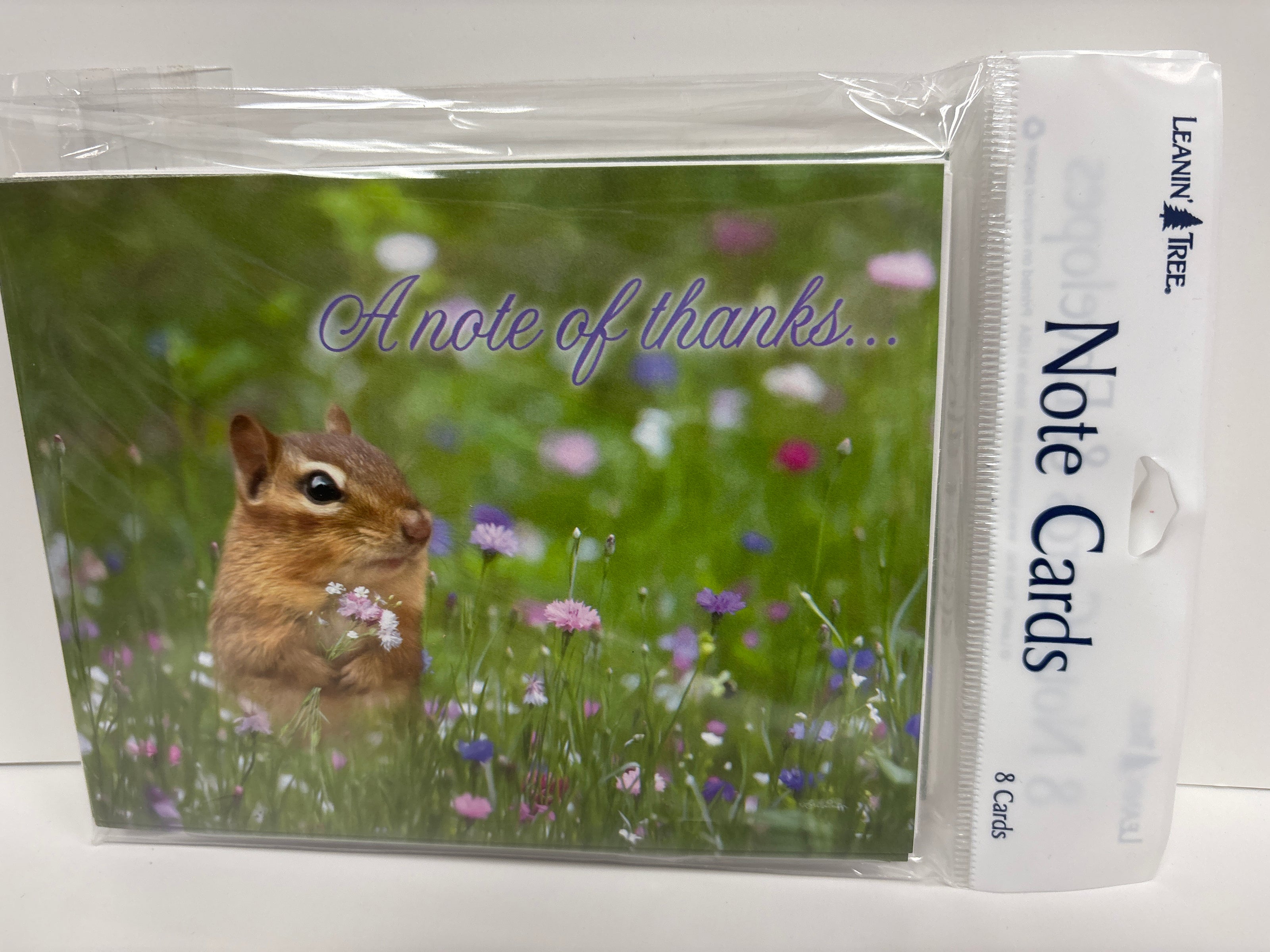8 Note Cards and Envelopes