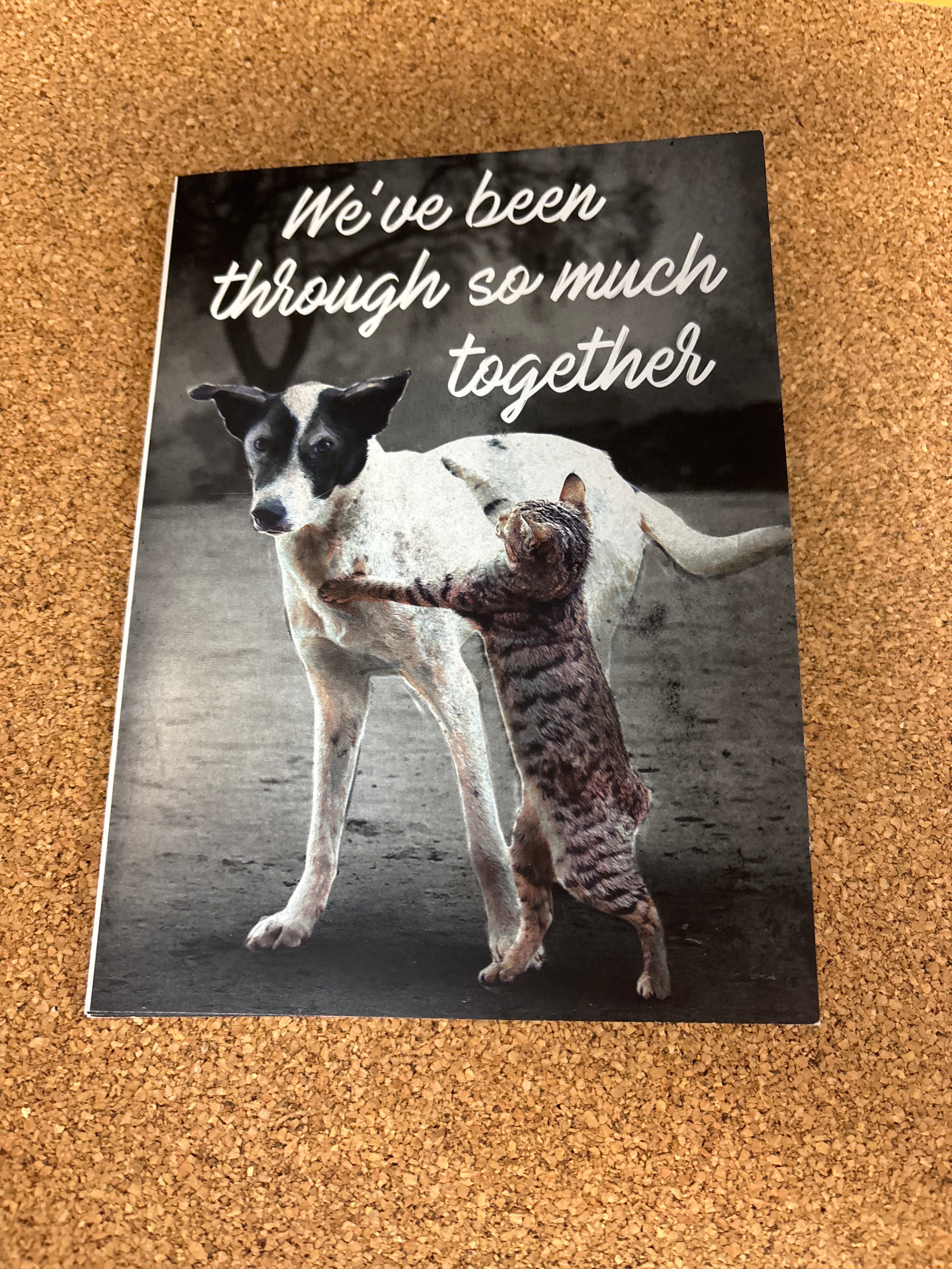 Friendship Card