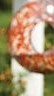 Glass circle Bird Feeder, swirl design