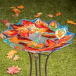 Leaf Edge Bird Bath