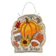 Light up fall door sign