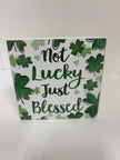 Wooden St Patrick's Day fun message blocks