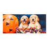 Trick or Treat Puppies Sassafras Switch Mat