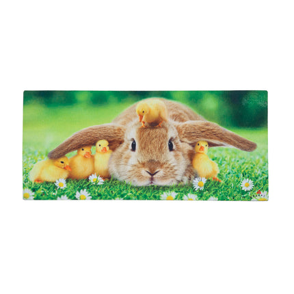 Bunny and Duckling Sassafras Switch Mat