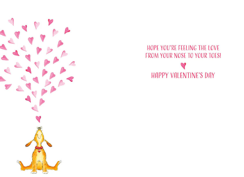 Heart Fountain from Nose Dog Valentine's Day Card