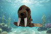 The Heritage Collection Walrus
