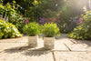 Ceramic Quiet Cottage Planter