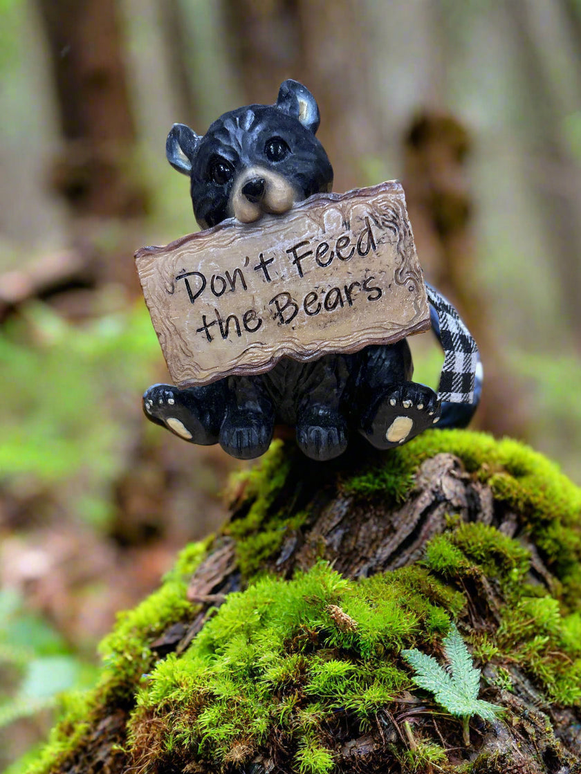 Resin Bear with cute messages