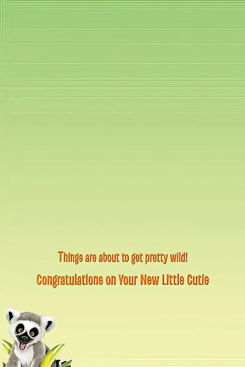 Congratulations On Your New Little Cutie Card