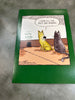 Birthday Card