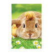Easter Garden Flag