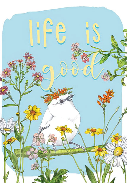 Birthday Card