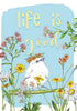 Birthday Card