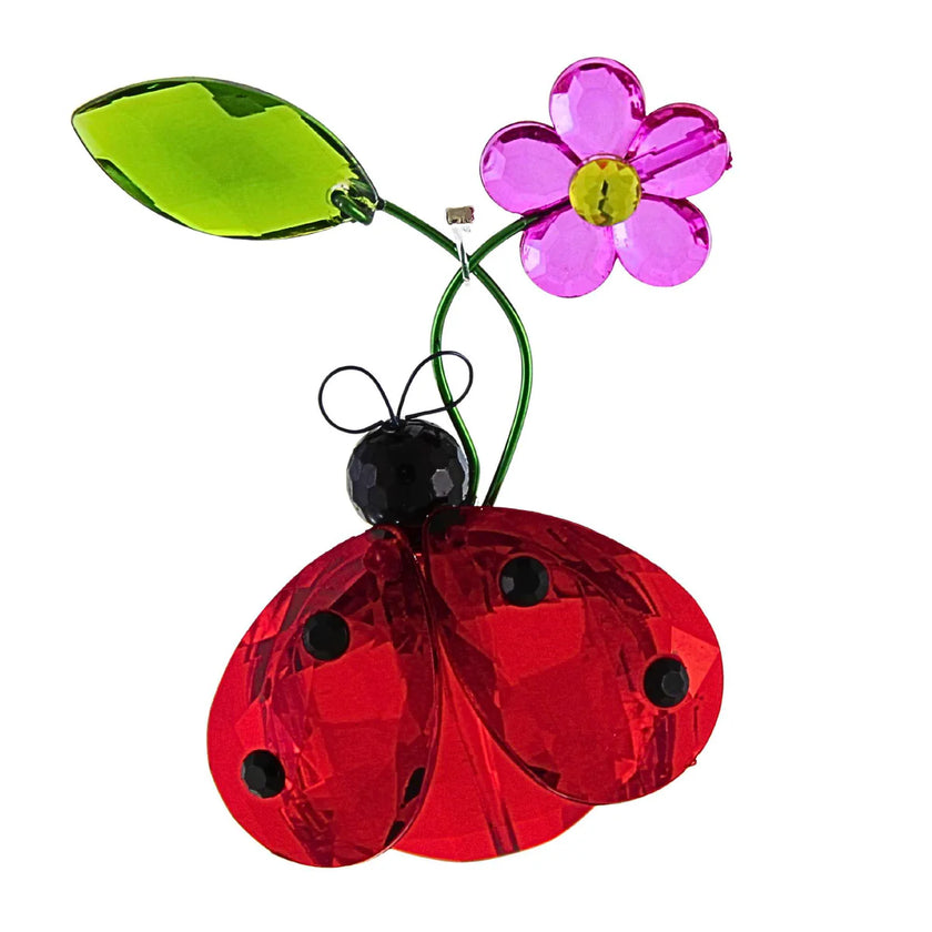 Crystal expressions Wishing Ladybug with message card