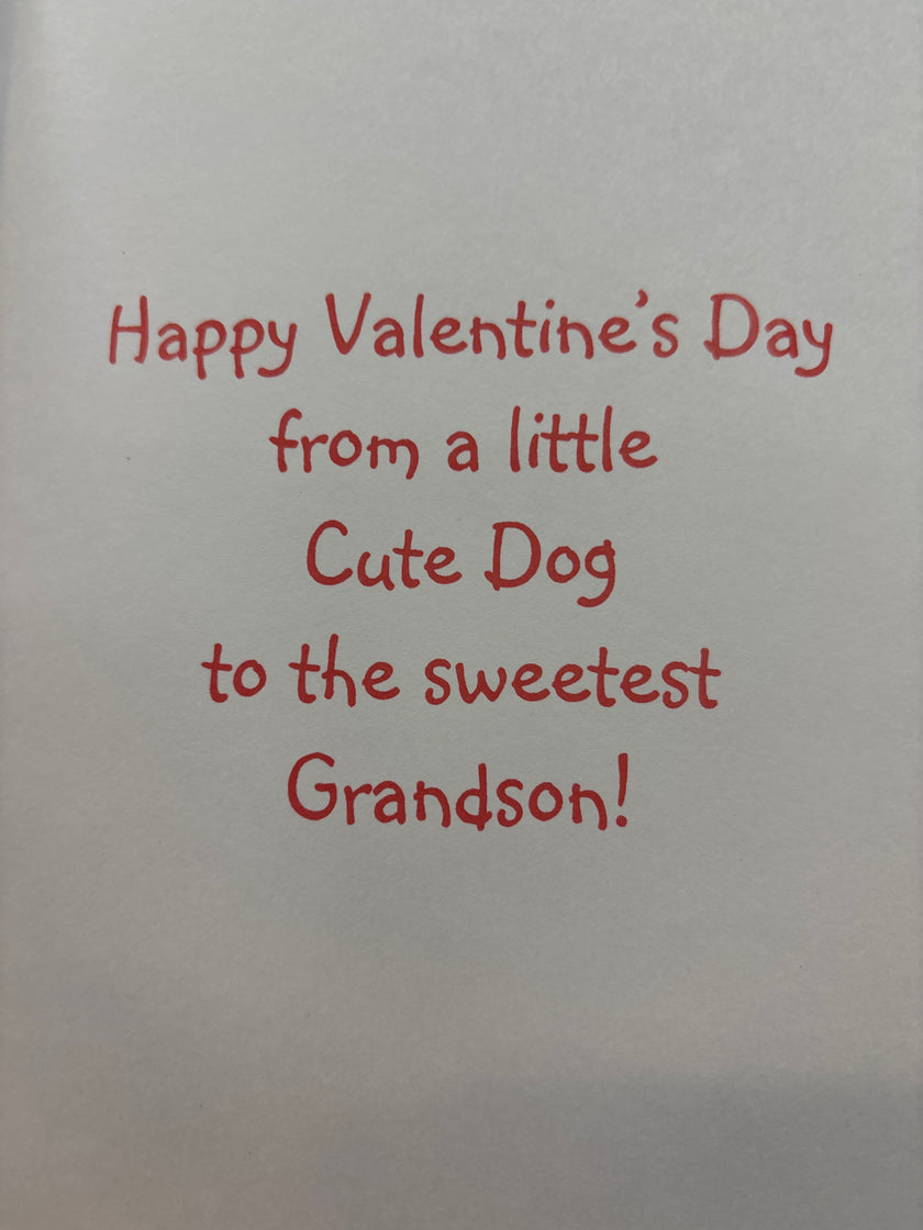 Valentine's card for Grandson