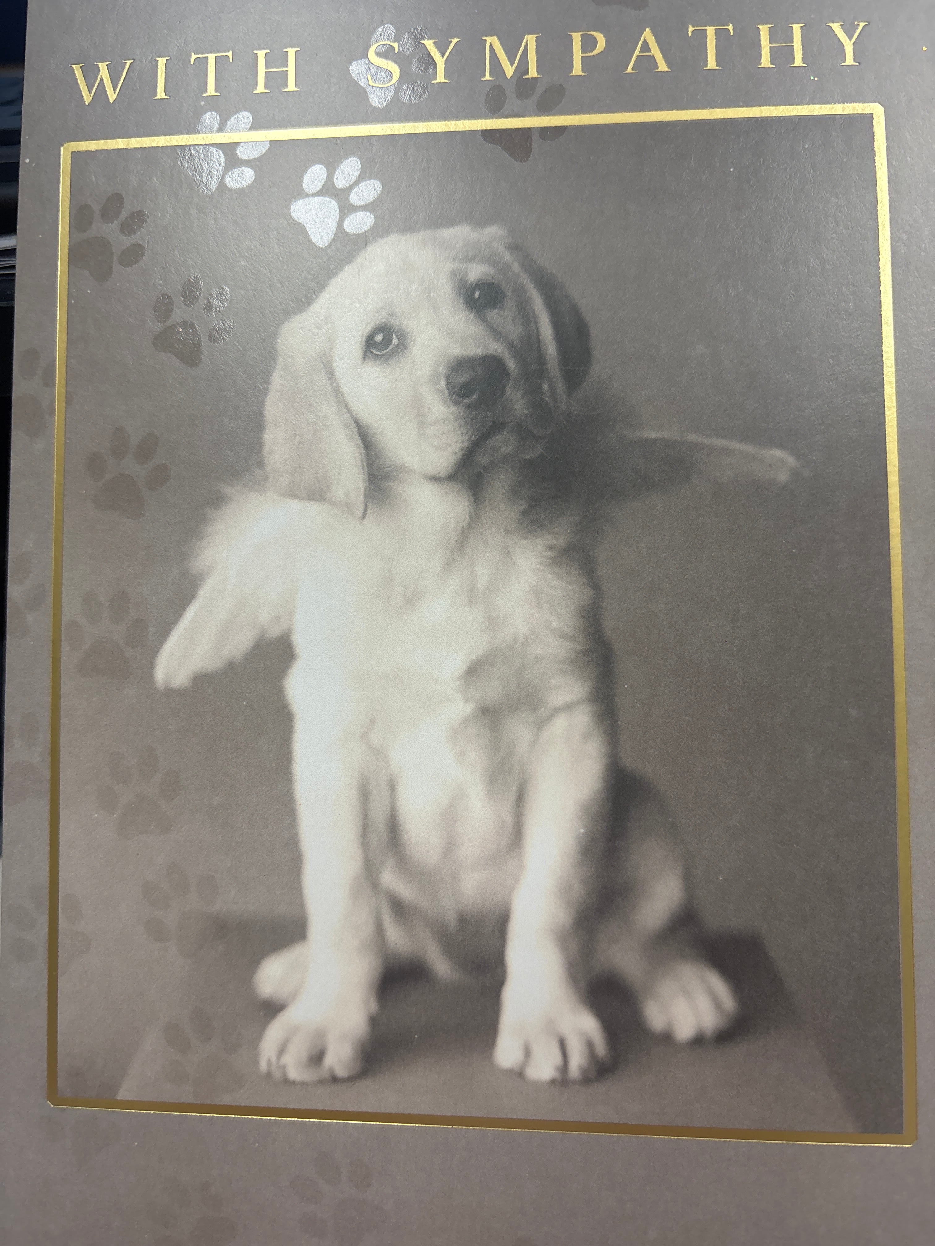 Pet Sympathy Card