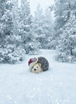 Christmas Hedgehog figurine