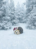 Christmas Hedgehog figurine