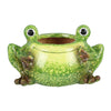 Happy Ceramic Frog Planter