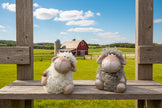 Fuzzy Sheep figurine