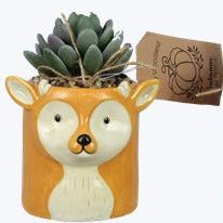 Ceramic Cozy Woodland Creatures Tabletop Planter with Succulents