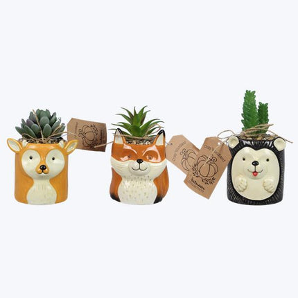 Ceramic Cozy Woodland Creatures Tabletop Planter with Succulents