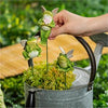 Winged Frog Plant Stakes
