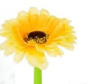Daisy Flower Pens