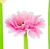 Daisy Flower Pens