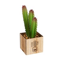 LED Artificial Succulent with Wood Box