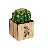 LED Artificial Succulent with Wood Box