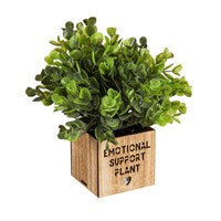 LED Artificial Succulent with Wood Box
