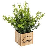 LED Artificial Succulent with Wood Box