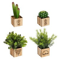 LED Artificial Succulent with Wood Box