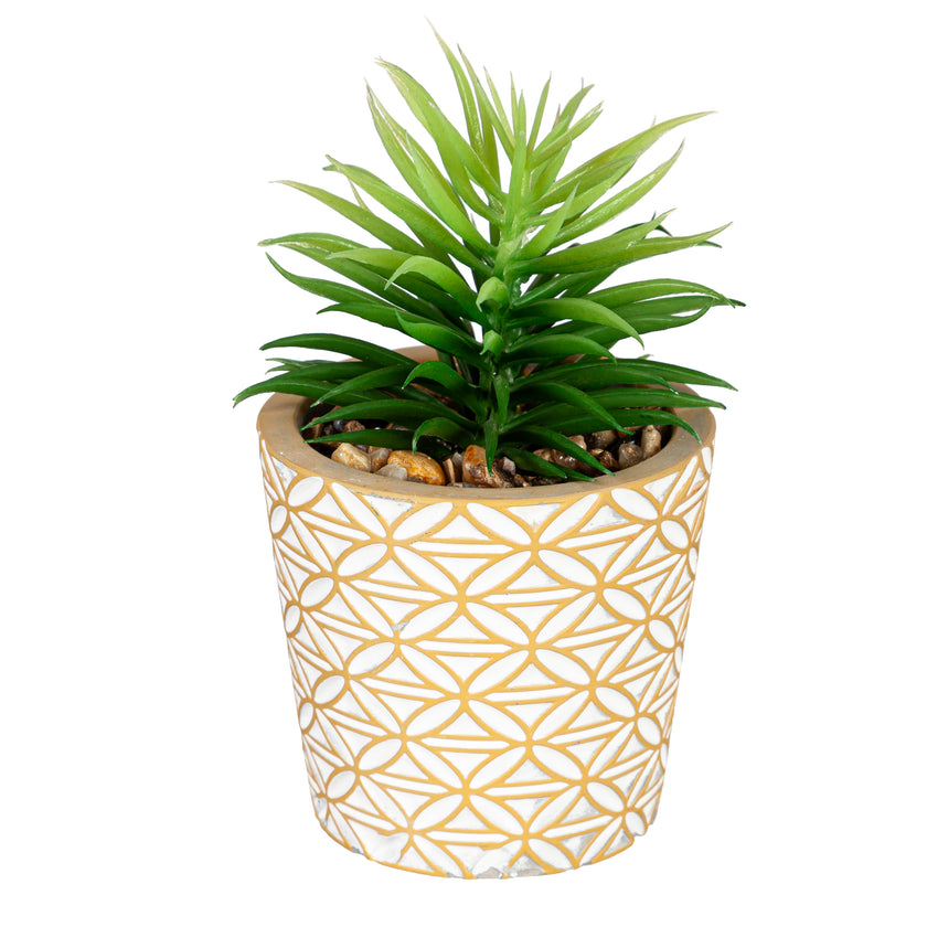 Handpainted Succulent Table Decor