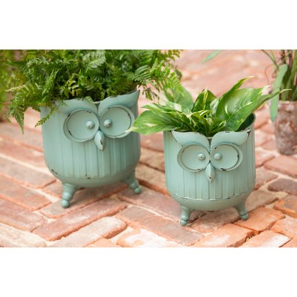 Metal Owl Planter